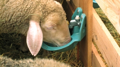 Modell 375